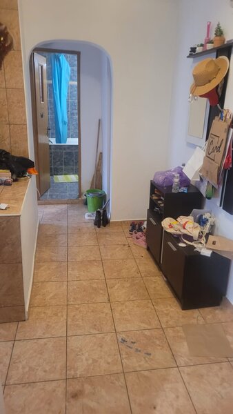 Colentina Teiul Doamnei