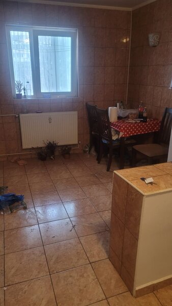 Colentina Teiul Doamnei