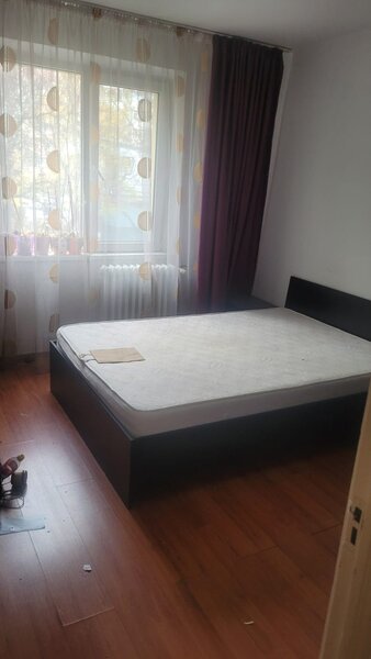 Colentina Teiul Doamnei