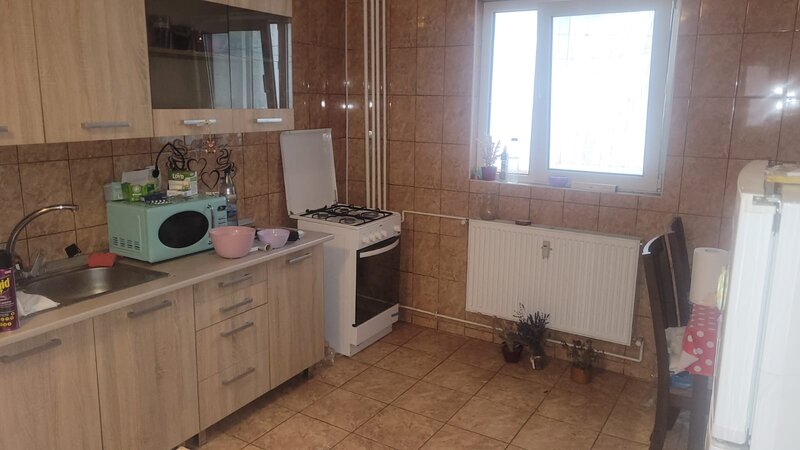 Colentina Teiul Doamnei