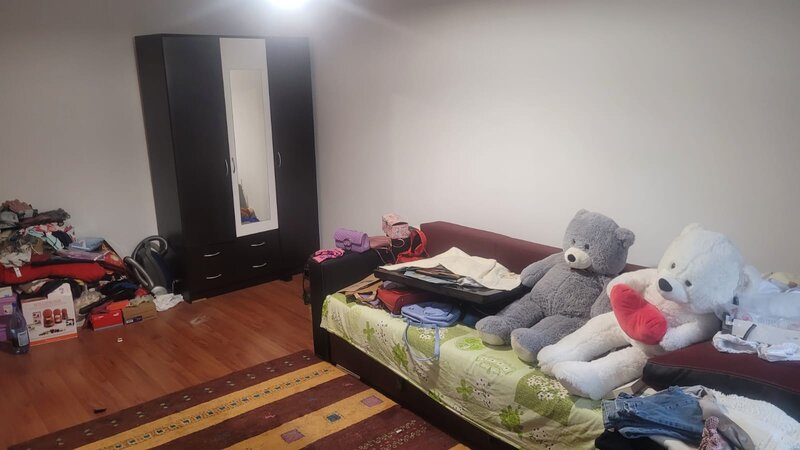 Colentina Teiul Doamnei