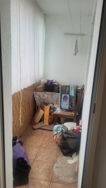 Colentina Teiul Doamnei