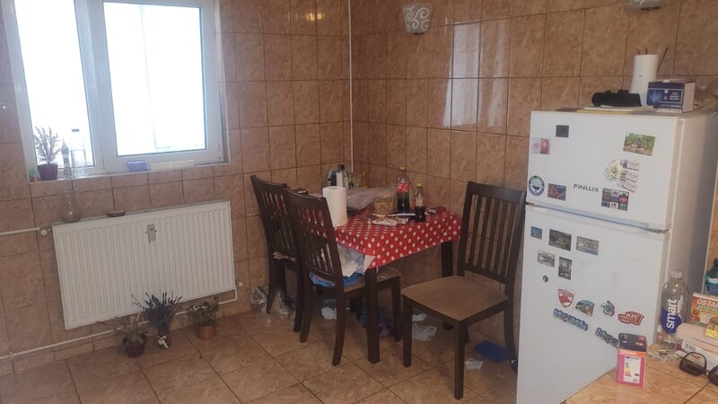 Colentina Teiul Doamnei