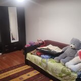 Colentina Teiul Doamnei